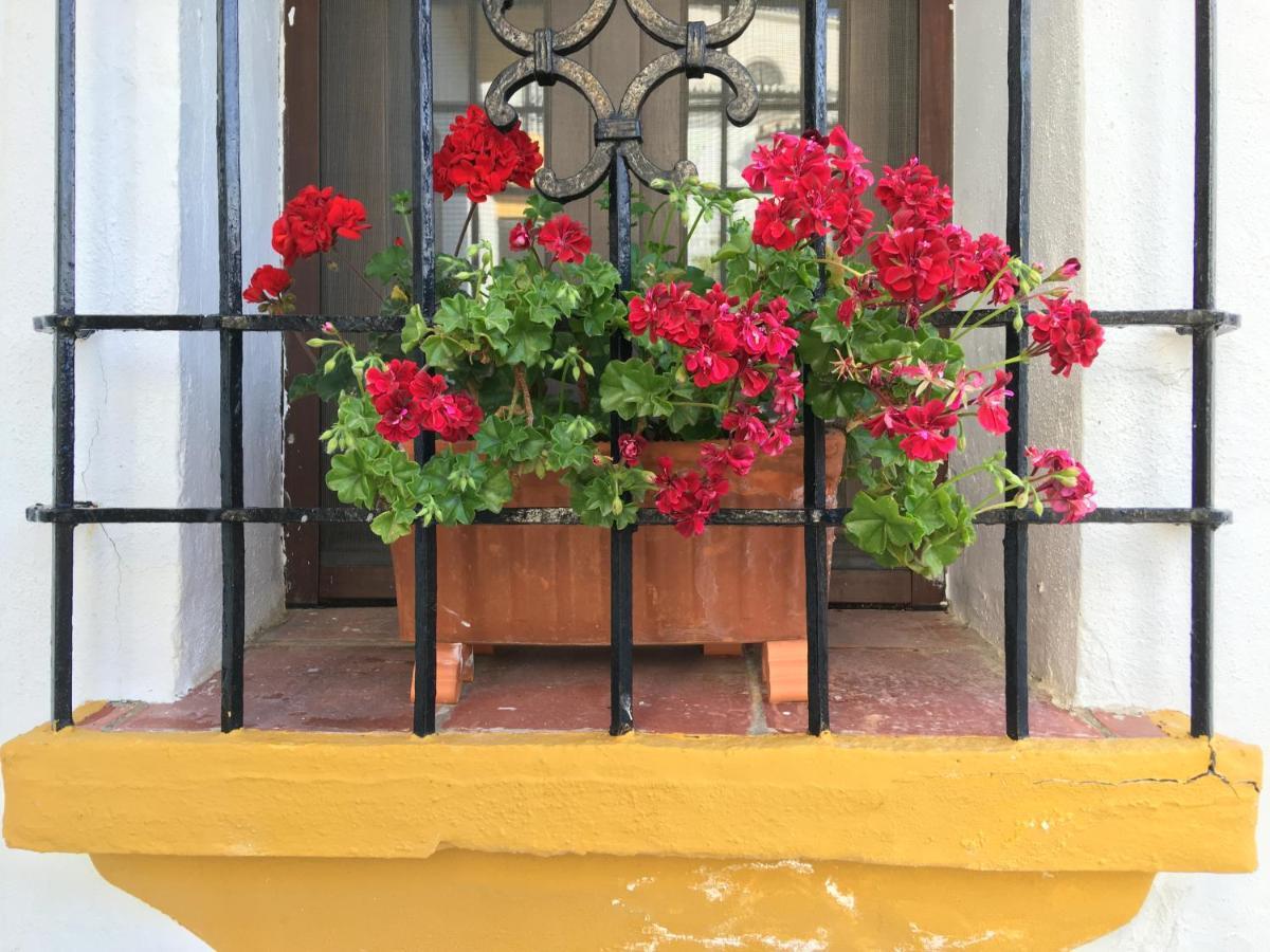 La Escondida Ronda, B&B Esterno foto